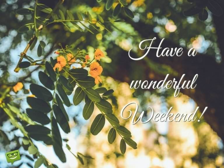 Have-a-wonderful-Weekend.-On-image-of-beautiful-tree-with-flowers-768x576.jpg