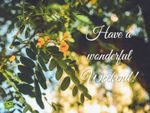 Have-a-wonderful-Weekend.-On-image-of-beautiful-tree-with-flowers-768x576.jpg