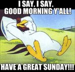 FB_IMG_1555343133591.jpg