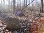206-shifletcem-022320.JPG