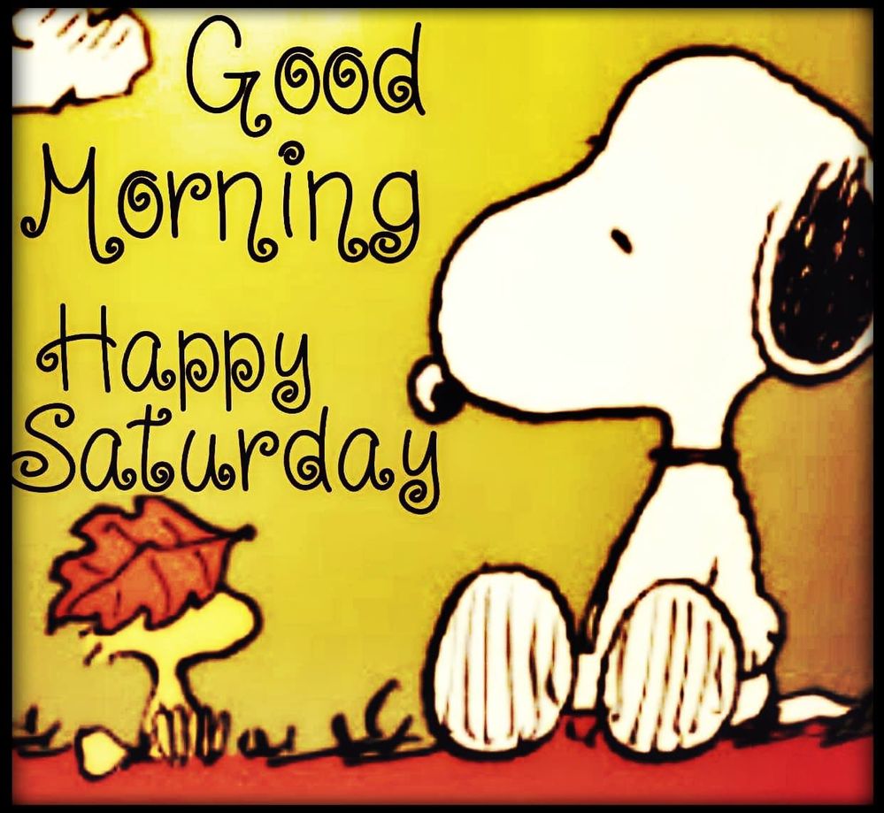 363927-Good-Morning-Happy-Saturday.jpg