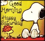 363927-Good-Morning-Happy-Saturday.jpg