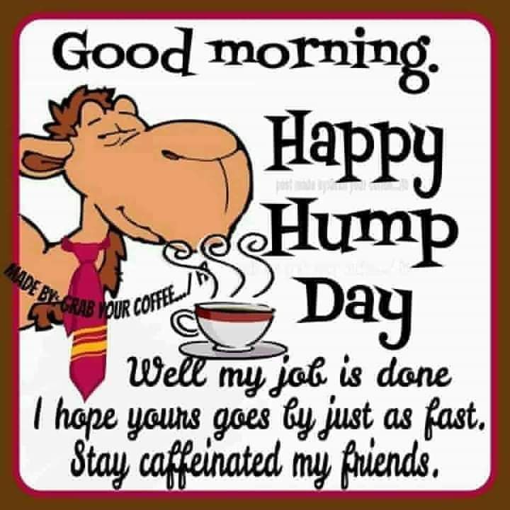 FB_IMG_1550078447473.jpg