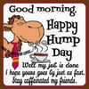 FB_IMG_1550078447473.jpg