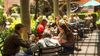 Secret-Garden-Cafe---Beer-3-d79ae67d5056a36_d79ae804-5056-a36f-237a228b20e445a5_815_455auto_s_c1.jpg
