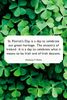 st-patricks-day-hicks-1579286320.jpg