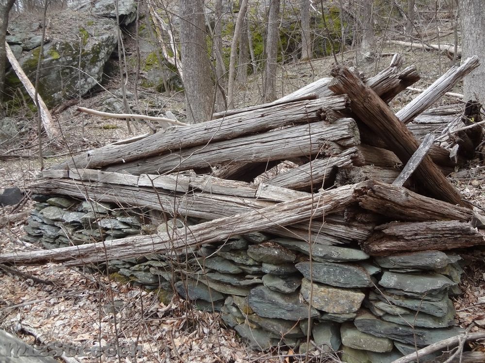 Soon this old home will totally collapse and Mother Nature will claim the wood.