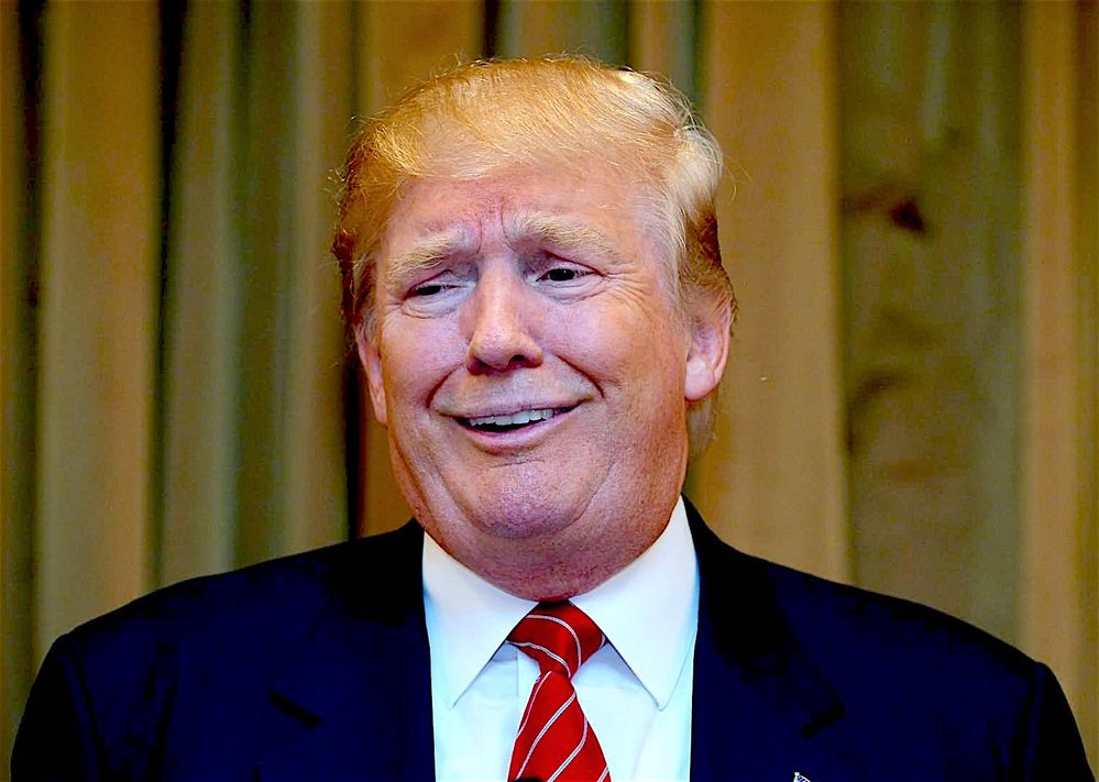 They call me Dimmy Dimwit!