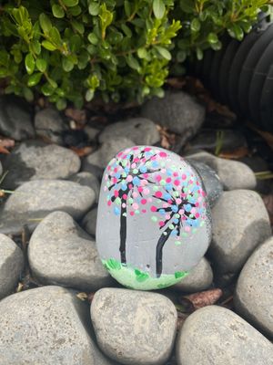 Rocks Colorful Dandyline.jpg