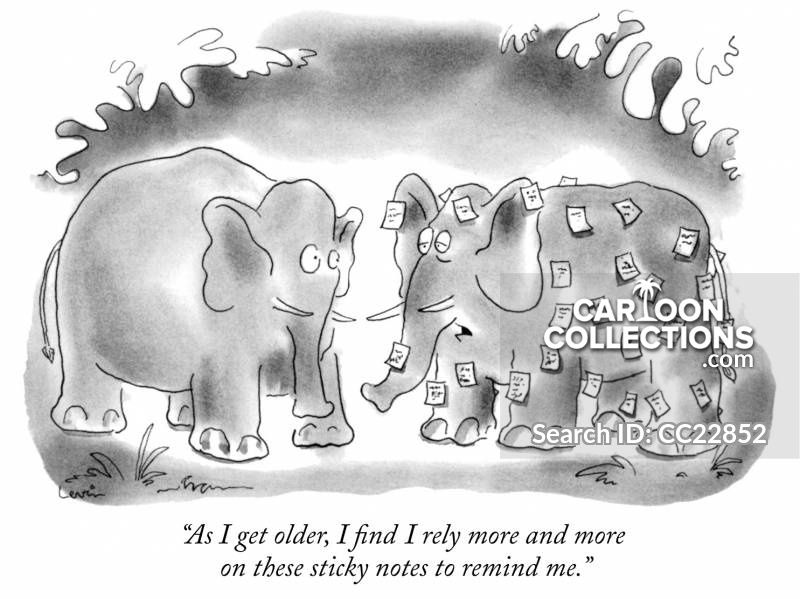 elephants-never_forgets-sticky_notes-notes-reminders-animals-CC22852_low.jpg