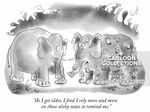 elephants-never_forgets-sticky_notes-notes-reminders-animals-CC22852_low.jpg