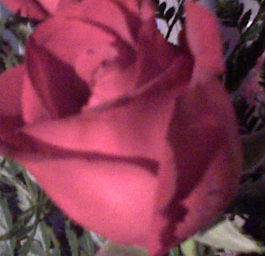 Photo_021509_005.jpg