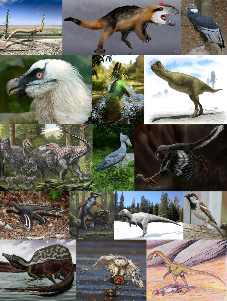 1280px-Theropoda.png
