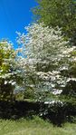 IMAG0467.jpg