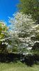 IMAG0467.jpg