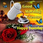 FB_IMG_1526418154080.jpg