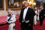 The pot-bellied IMPOTUS penguin