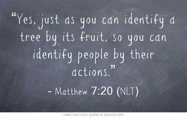 recognize-trees-by-their-fruits.jpg