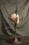 Craniometer.jpg