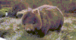 c91e562a2eca4bd4a10f89c4294cdb36 (1).gif