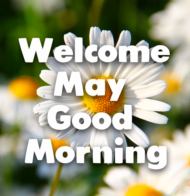 353817-Daisy-Welcome-May-Good-Morning.png