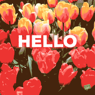 330606-Hello-May.gif