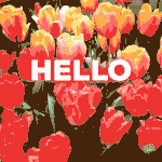 330606-Hello-May.gif