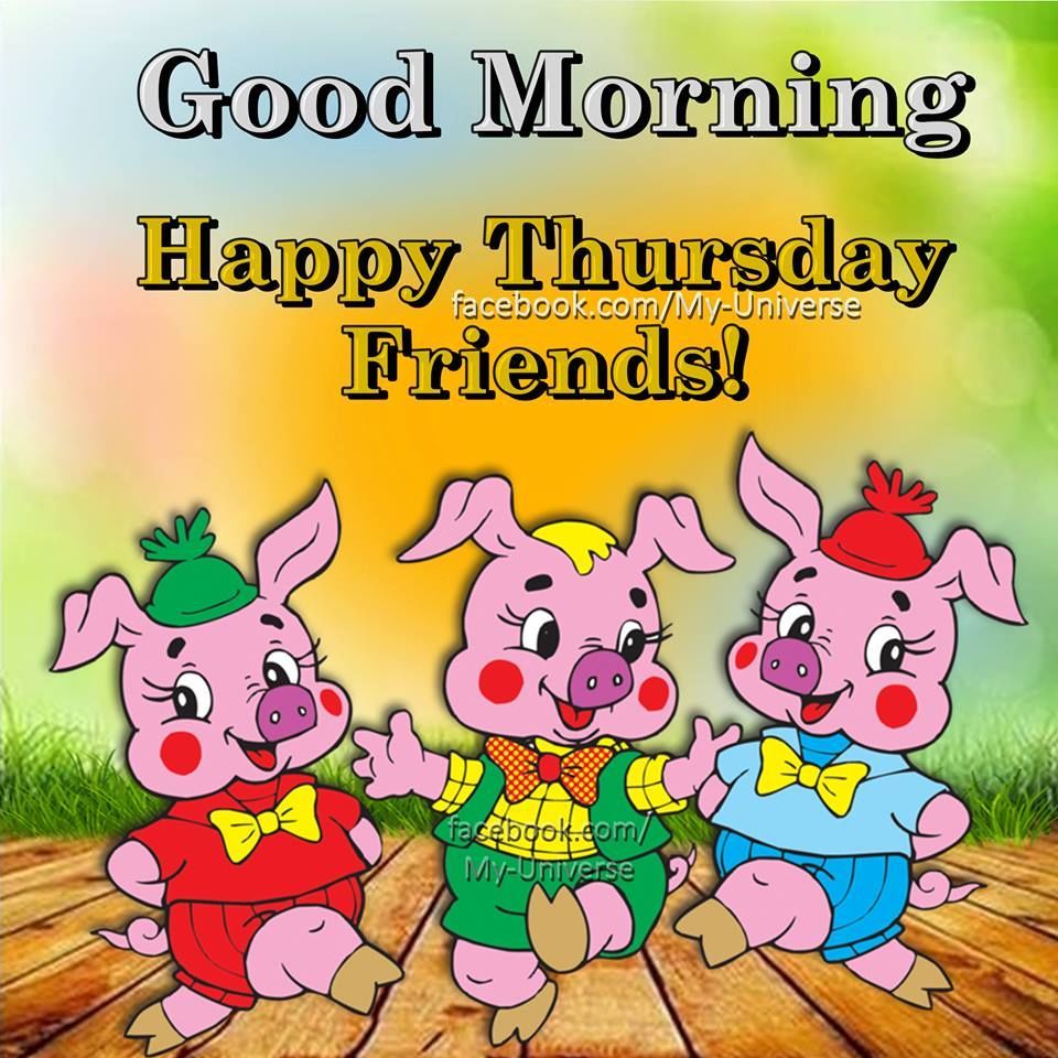 333853-3-Piggy-Good-Morning-Happy-Thursday-Friends-.jpg