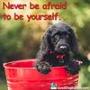 dog-quotes-black-puppy-bucket-800x800-450x450.jpg