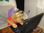Scooby Networking 2008.JPG