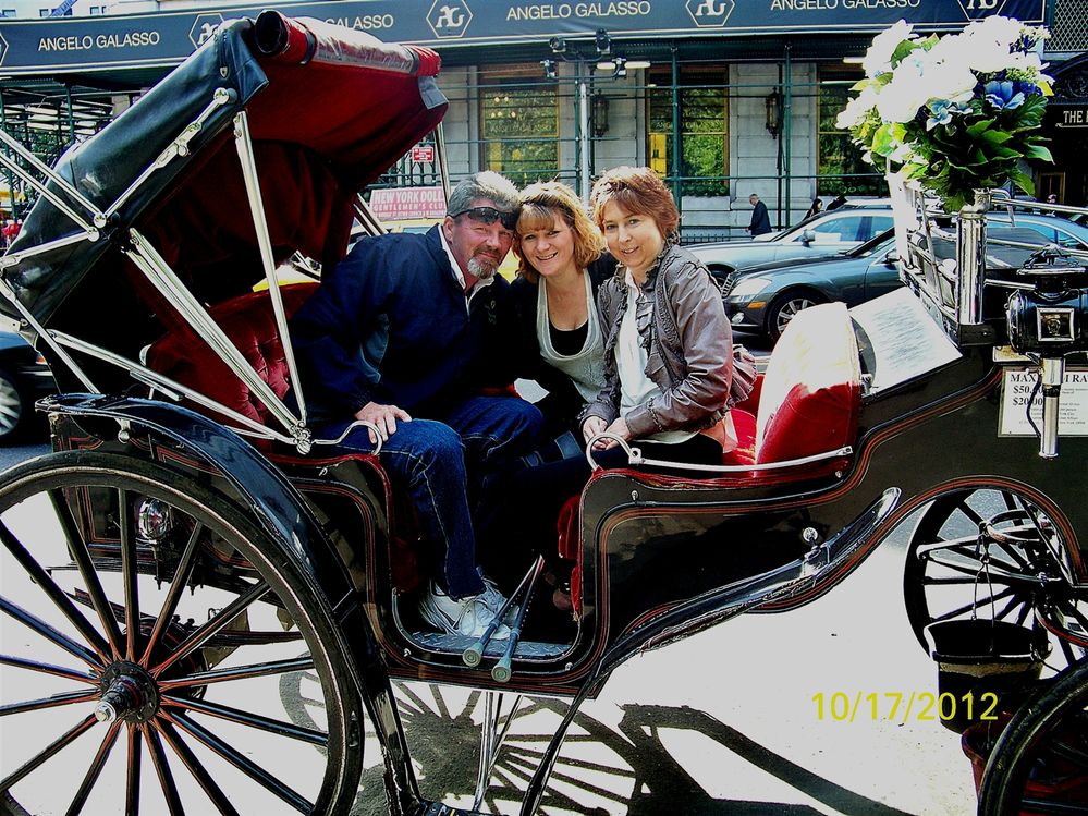 Central Park, NYC, Carriage Ride