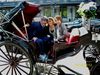 Central Park, NYC, Carriage Ride