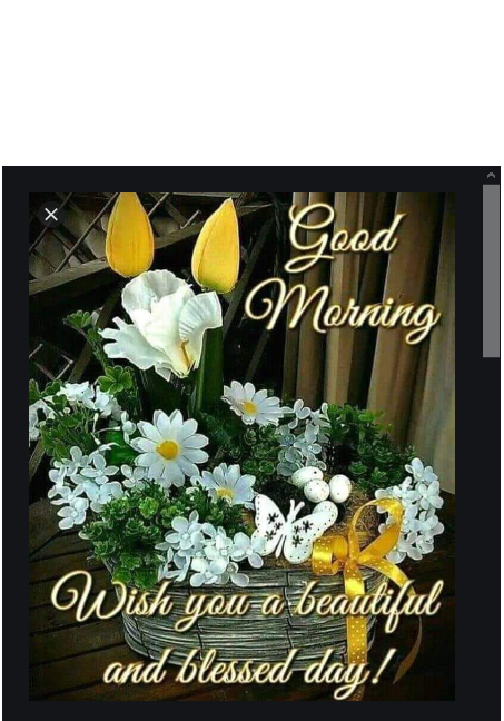 Screenshot_2020-05-30 good morning pics - Google Search(1).png