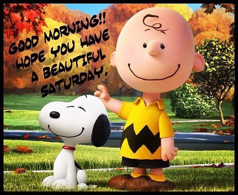 245878-Good-Morning-Hope-You-Have-A-Beautiful-Saturday.jpg