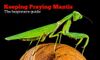 keeping-praying-mantis-as-pets-1024x617.jpg