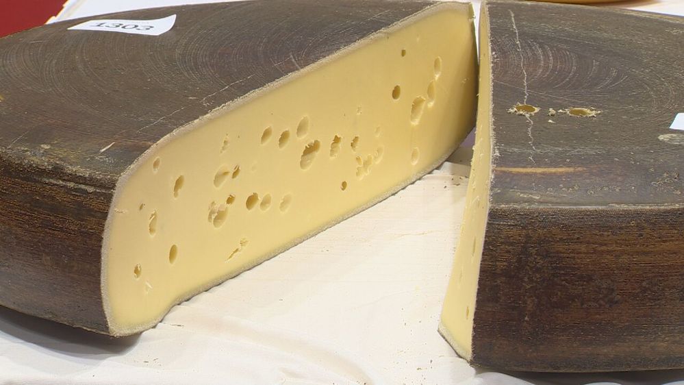 3-WORLD-CHEESE-CHAMPS-4.transfer_frame_1188.jpeg