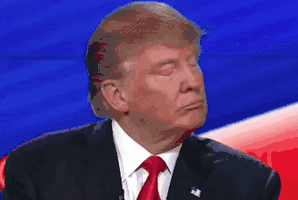 giphy (13).gif