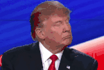 giphy (13).gif