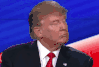 giphy (13).gif