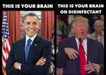 trump-brain-on-disinfectant.jpg