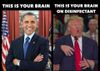 trump-brain-on-disinfectant.jpg