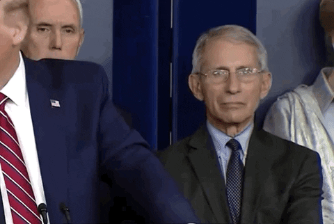 giphy (4).gif