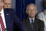 giphy (4).gif