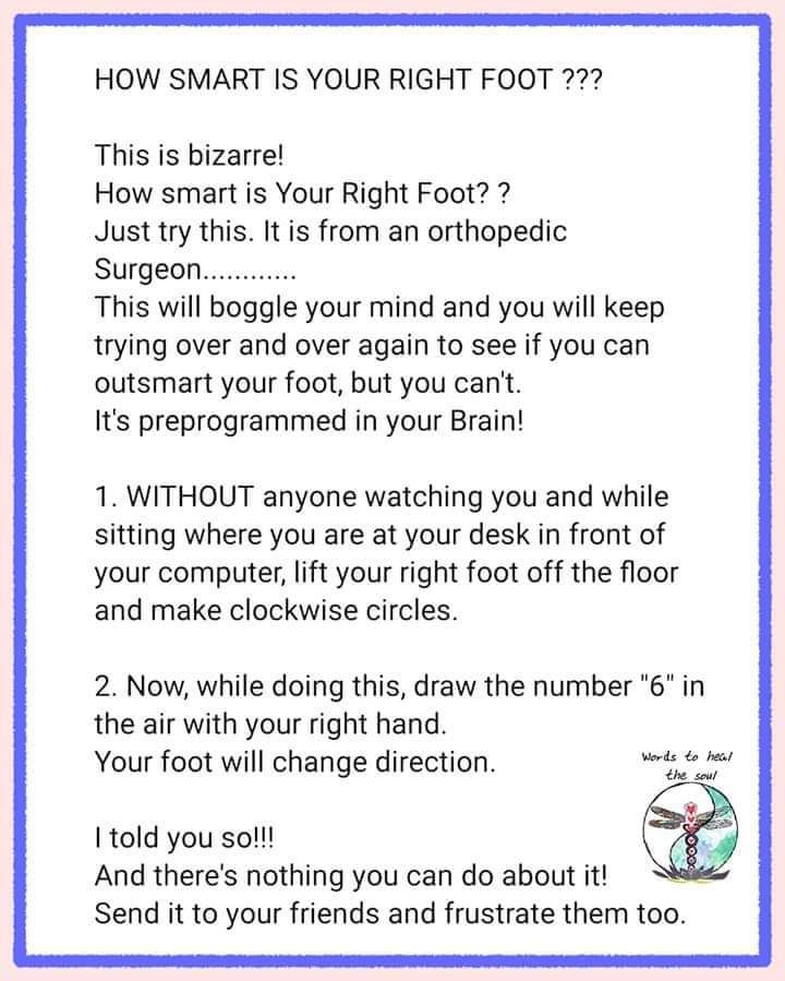 98154656_1196615350673773_7774614726792708096_n.jpg