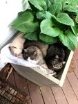 Mom and her son just chillin'