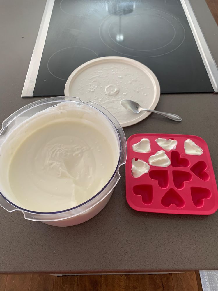 Our Homemade Yogurt 1.jpg