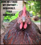 FB_IMG_1550416929512.jpg