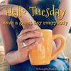 tuesday_040.jpg