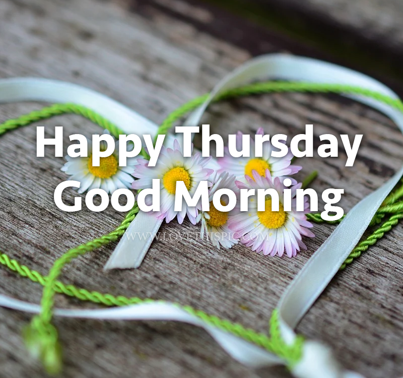 370926-Daisy-Happy-Thursday-Good-Morning.png