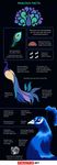 Peacock-Facts.jpg